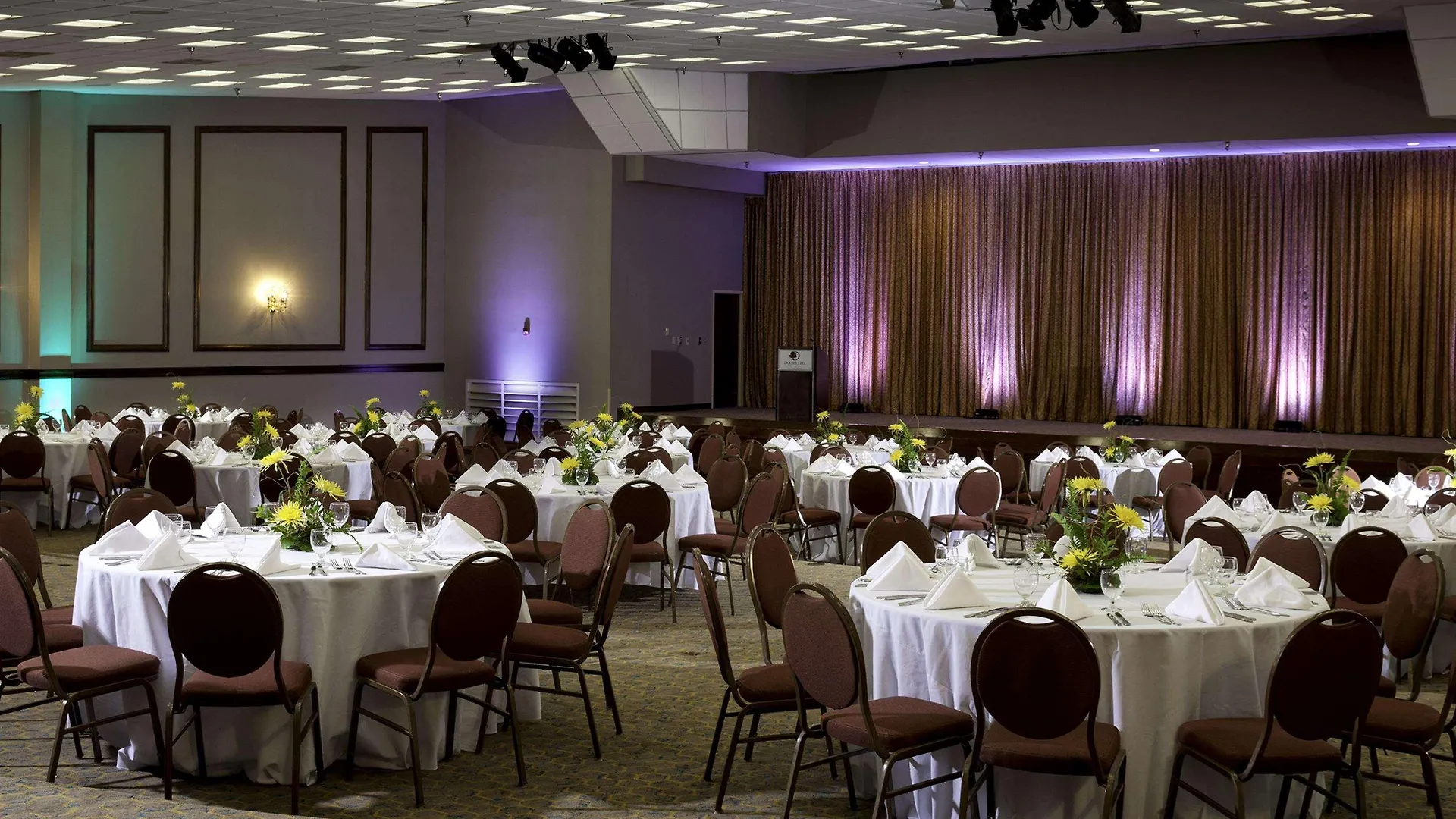 ****  Doubletree By Hilton Hotel Williamsburg Estados Unidos da América