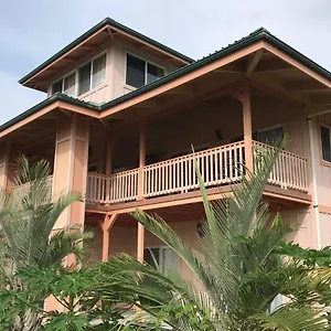 Coconut Palms Vacation Near Lava Fields And Beaches Holiday home Kehena