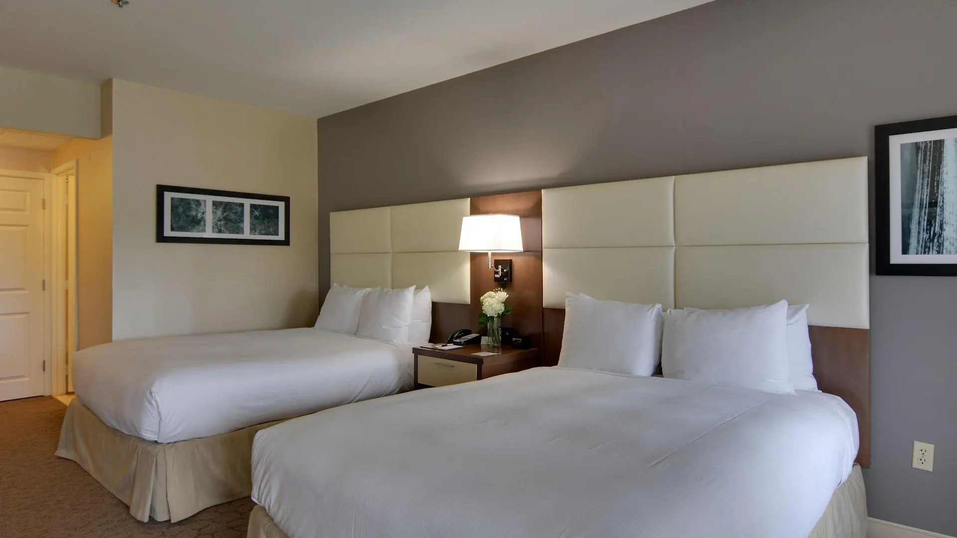 Doubletree By Hilton Hotel Williamsburg 4*,